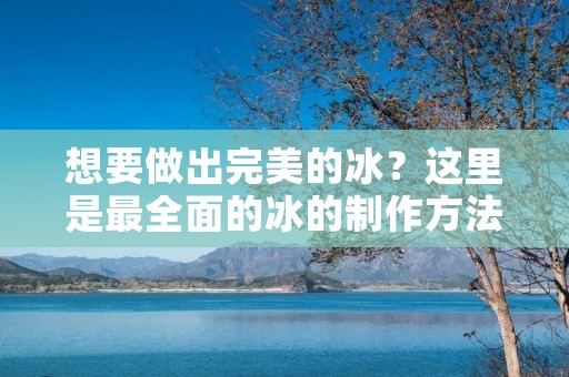 想要做出完美的冰？这里是最全面的冰的制作方法！