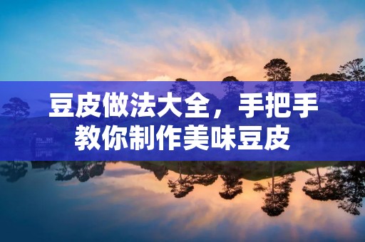 豆皮做法大全，手把手教你制作美味豆皮