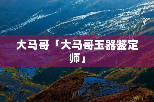 大马哥「大马哥玉器鉴定师」