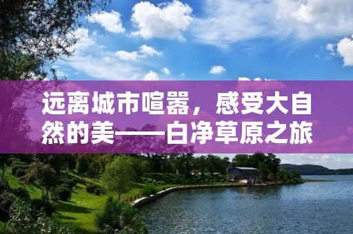 远离城市喧嚣,感受大自然的美——白净草原之旅 远离城市喧嚣,感受大自然的美——白净草原之旅