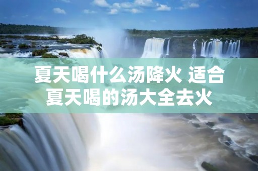 夏天喝什么汤降火 适合夏天喝的汤大全去火