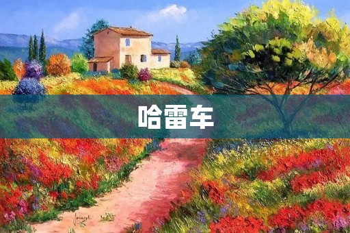 哈雷车:美国最具代表性的摩托车品牌 哈雷车:美国最具代表性的摩托车品牌