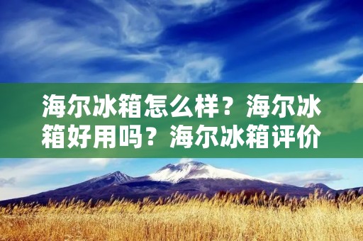 海尔冰箱怎么样?海尔冰箱好用吗?海尔冰箱评价如何? 海尔冰箱怎么样?海尔冰箱好用吗?海尔冰箱评价如何?