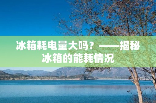 冰箱耗电量大吗?——揭秘冰箱的能耗情况