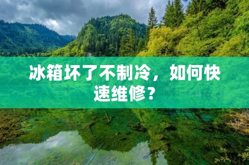 冰箱坏了不制冷，如何快速维修？