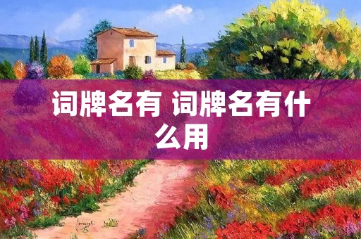 词牌名有 词牌名有什么用 词牌名有 词牌名有什么用