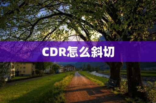 CDR怎么斜切