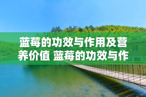 蓝莓的功效与作用及营养价值 蓝莓的功效与作用及营养价值视频