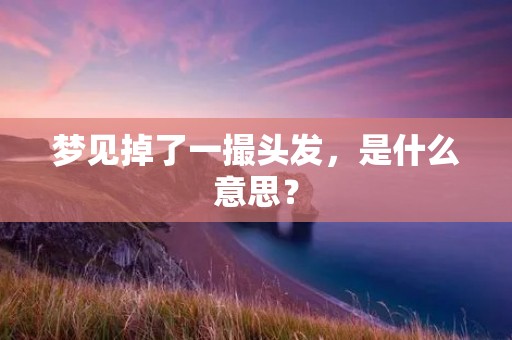 梦见掉了一撮头发,是什么意思?
