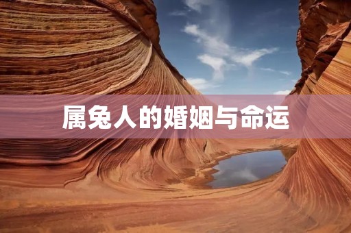 属兔人的婚姻与命运 属兔人的婚姻与命运