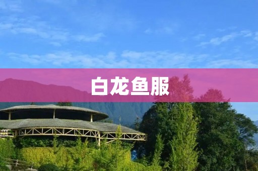 白龙鱼服:为宠物提供最佳呵护 白龙鱼服:为宠物提供最佳呵护