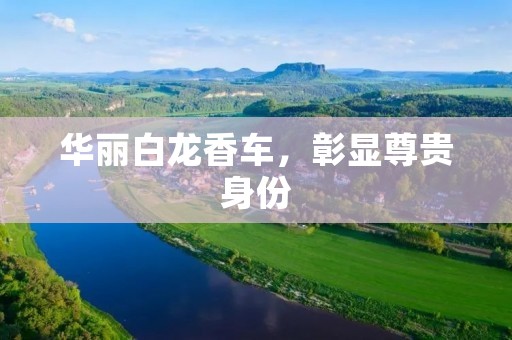 华丽白龙香车,彰显尊贵身份 华丽白龙香车,彰显尊贵身份