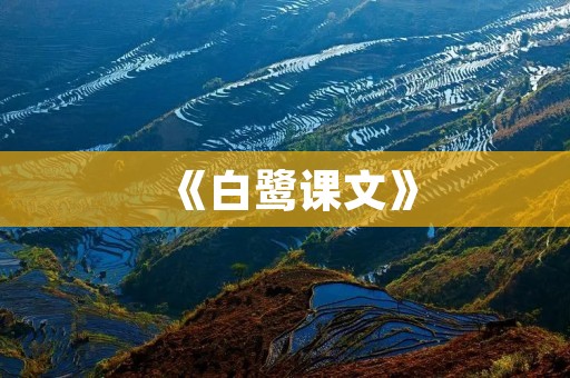 《白鹭课文》：从自然中汲取人生哲理