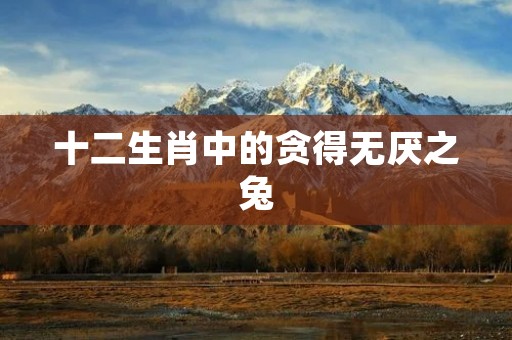 十二生肖中的贪得无厌之兔