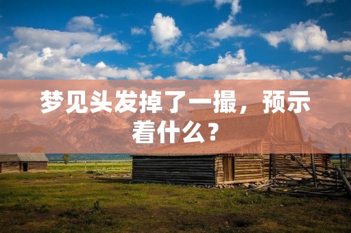 梦见头发掉了一撮,预示着什么? 梦见头发掉了一撮,预示着什么?