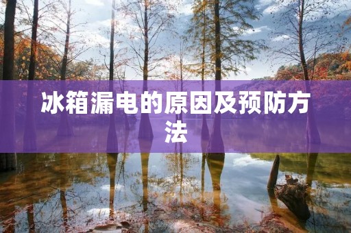 冰箱漏电的原因及预防方法
