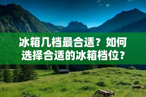 冰箱几档最合适？如何选择合适的冰箱档位？
