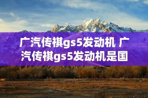 广汽传祺gs5发动机 广汽传祺gs5发动机是国产还是进口 广汽传祺gs5发动机 广汽传祺gs5发动机是国产还是进口