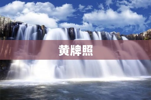 黄牌照:小车、货车、客车黄牌照的申请、办理、使用流程详解 黄牌照:小车、货车、客车黄牌照的申请、办理、使用流程详解