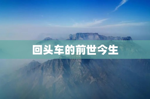 回头车的前世今生:从曾经的“烫手山芋”到现在的“抢手货” 回头车的前世今生:从曾经的“烫手山芋”到现在的“抢手货”
