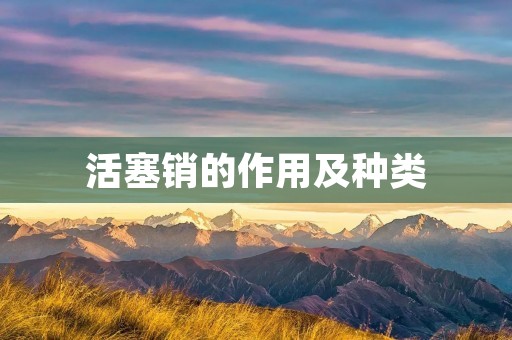 活塞销的作用及种类