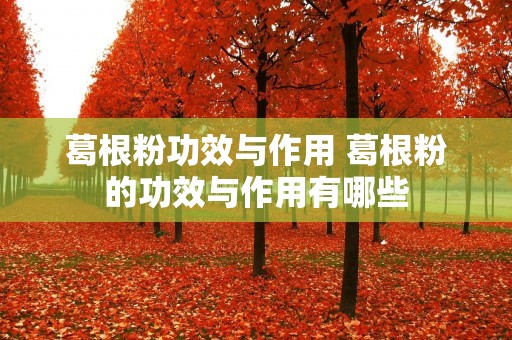 葛根粉功效与作用 葛根粉的功效与作用有哪些