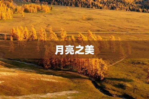 月亮之美：一首诗歌的赞美