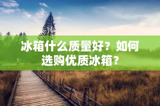 冰箱什么质量好？如何选购优质冰箱？