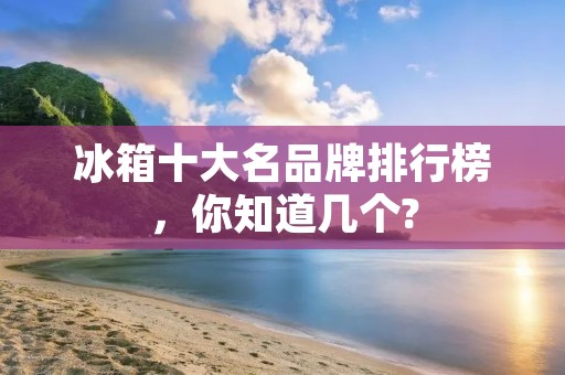 冰箱十大名品牌排行榜,你知道几个? 冰箱十大名品牌排行榜,你知道几个?