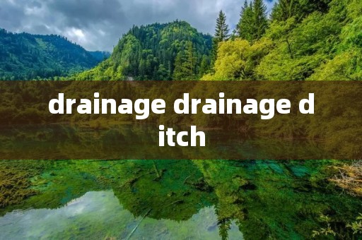 drainage drainage ditch