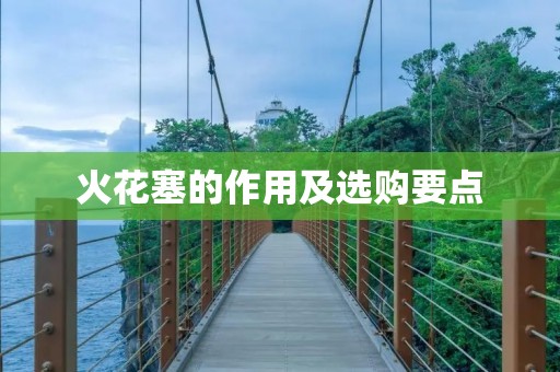 火花塞的作用及选购要点