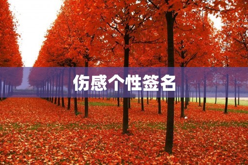 伤感个性签名