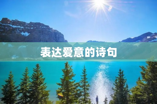 表达爱意的诗句