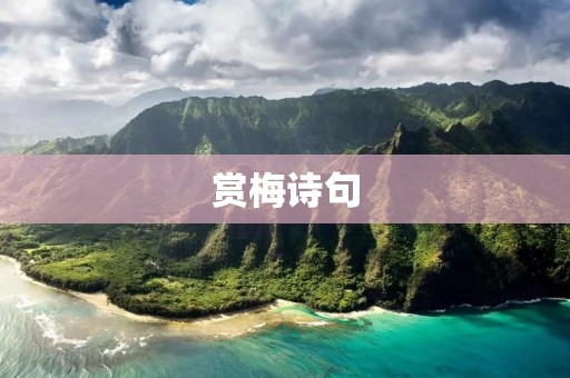 赏梅诗句
