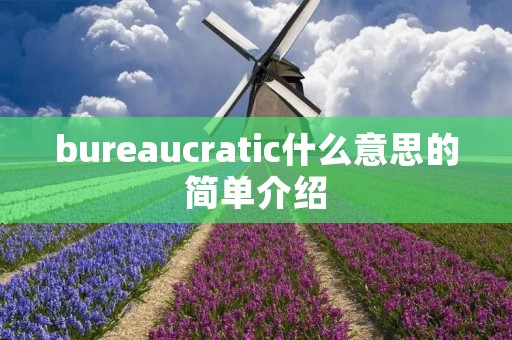 bureaucratic什么意思的简单介绍