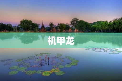 机甲龙:未来科技的巅峰之作 机甲龙:未来科技的巅峰之作