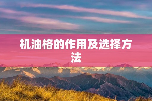 机油格的作用及选择方法 机油格的作用及选择方法