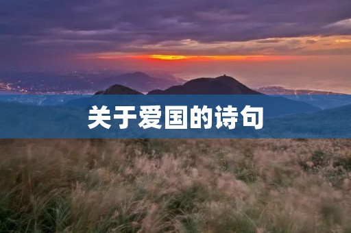 关于爱国的诗句