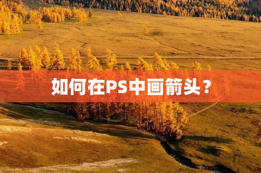 如何在PS中画箭头? 如何在PS中画箭头?