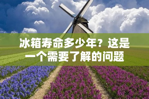 冰箱寿命多少年?这是一个需要了解的问题 冰箱寿命多少年?这是一个需要了解的问题