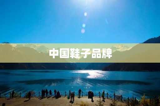 中国鞋子品牌:为何在国际市场上备受瞩目?
