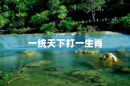 一统天下打一生肖