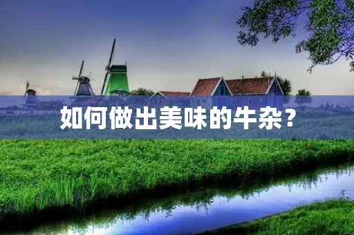如何做出美味的牛杂？