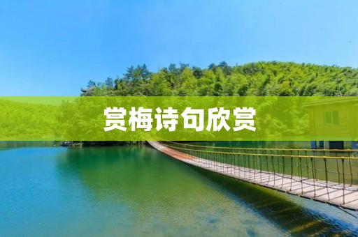 赏梅诗句欣赏