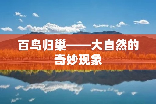 百鸟归巢——大自然的奇妙现象 百鸟归巢——大自然的奇妙现象