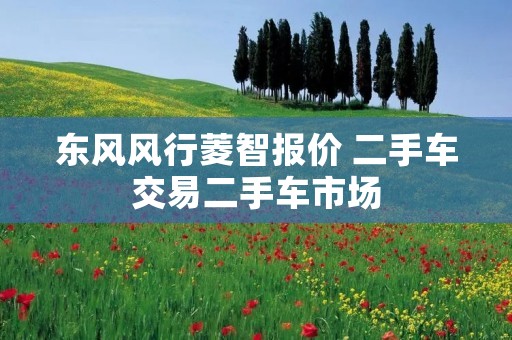 东风风行菱智报价 二手车交易二手车市场