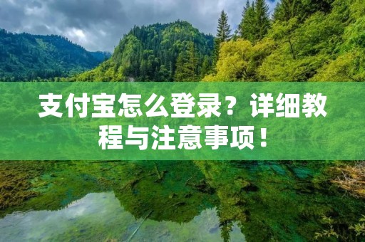 支付宝怎么登录?详细教程与注意事项! 支付宝怎么登录?详细教程与注意事项!
