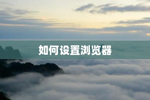 如何设置浏览器：详细教程