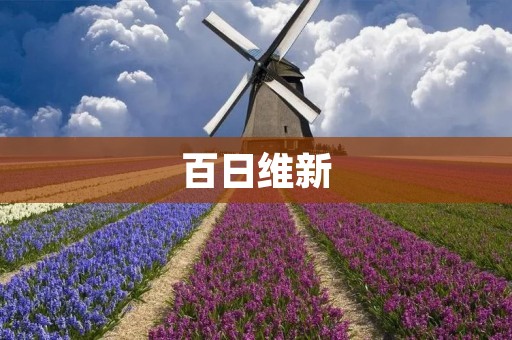 百日维新:中国近代史上的一场政治改革运动 百日维新:中国近代史上的一场政治改革运动