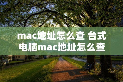 mac地址怎么查 台式电脑mac地址怎么查 mac地址怎么查 台式电脑mac地址怎么查